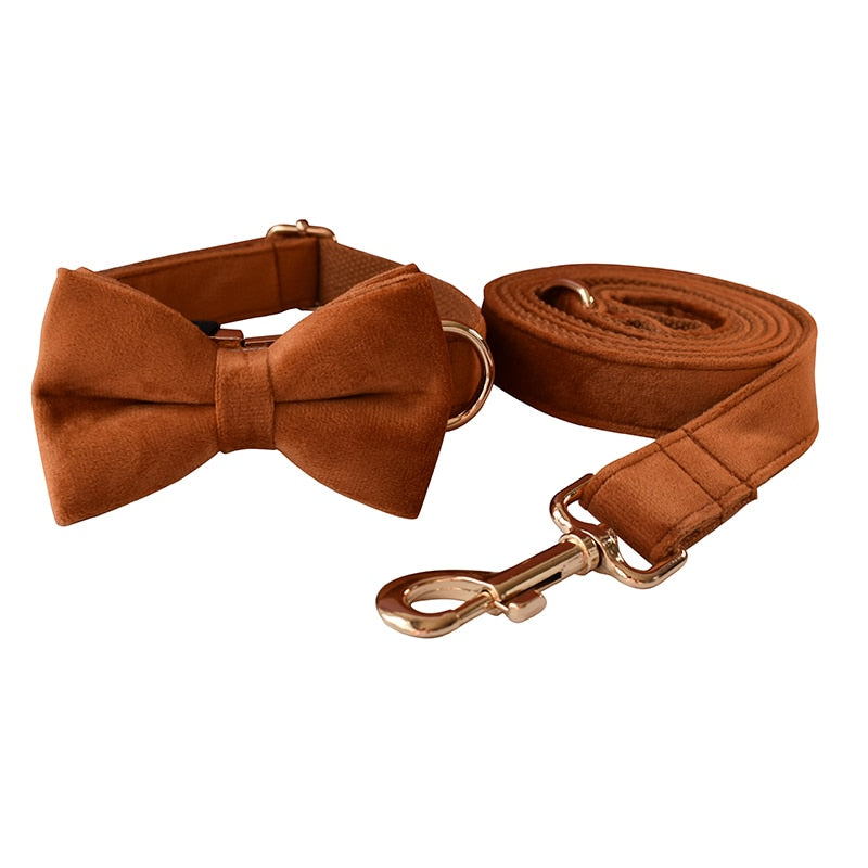 Leash Set with Collar and Bow