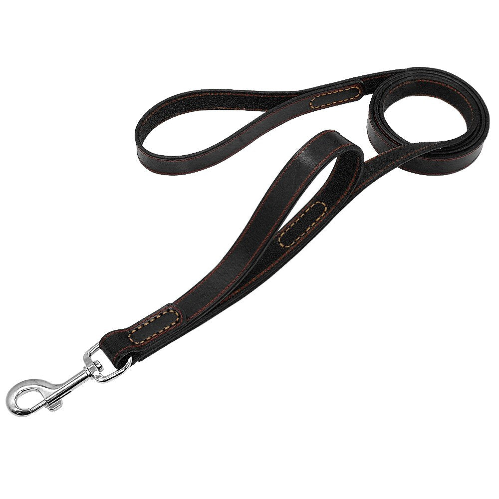 Leather Leash