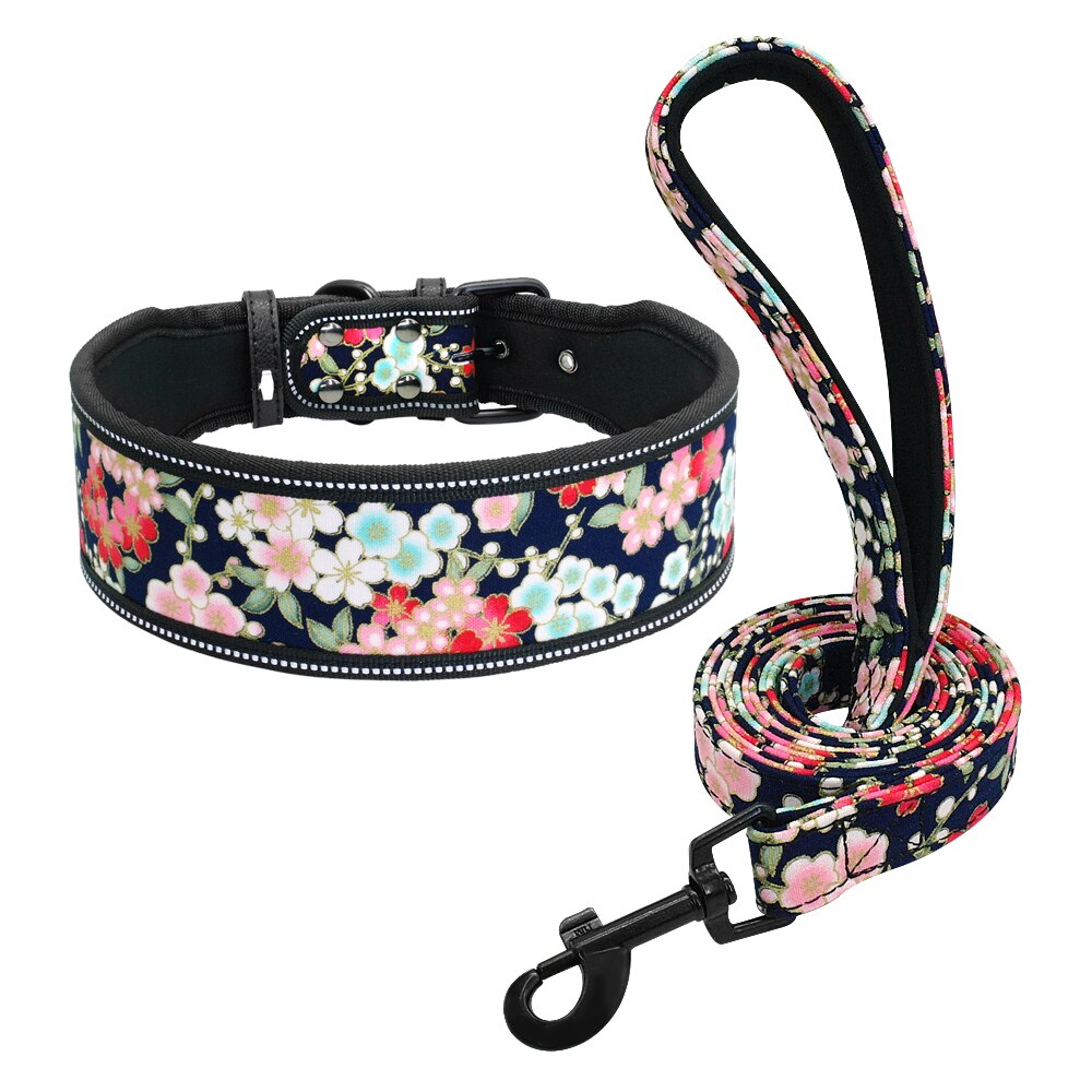 Leash and Collar Reflective Set