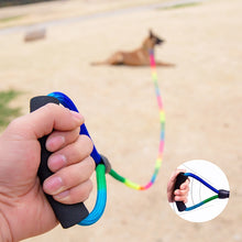 Lade das Bild in den Galerie-Viewer, Recall Training Leash Rainbow
