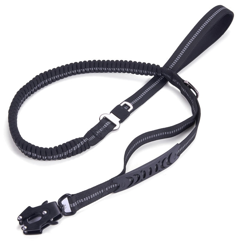 Shock Absorbing Elastic Leash for Medium and Large Dogs