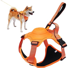 Lade das Bild in den Galerie-Viewer, Harness and Retractable Leash
