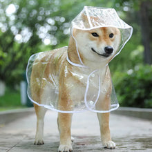 Lade das Bild in den Galerie-Viewer, Transparent Raincoat with Hood
