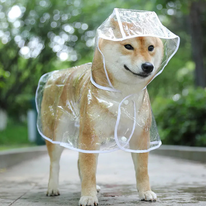 Transparent Raincoat with Hood