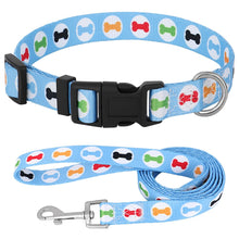 Lade das Bild in den Galerie-Viewer, Collar and Leash Set for S and XS Dogs
