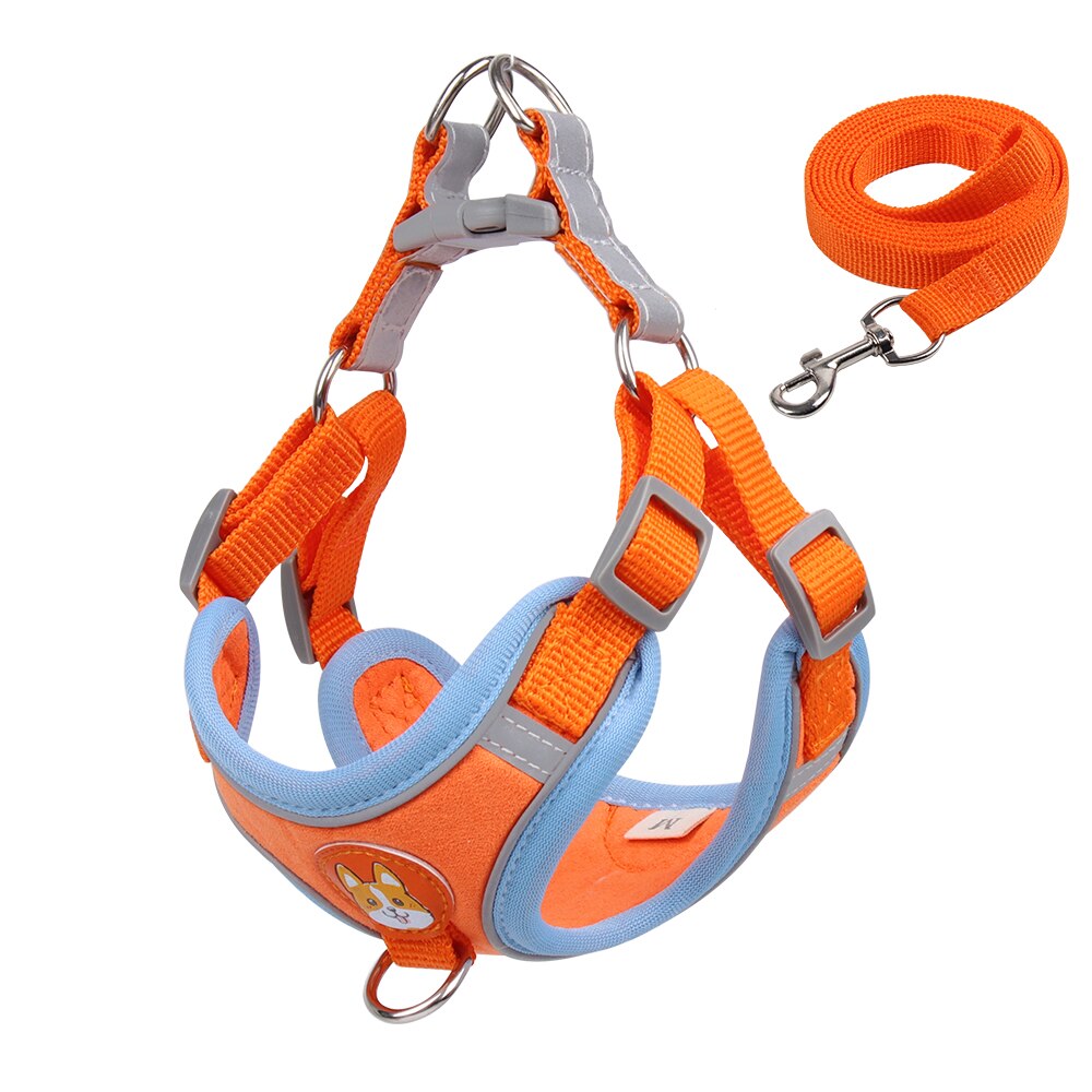 Harness and Leash Set