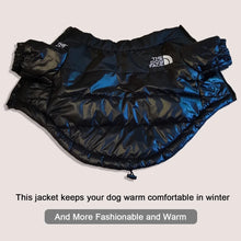 Lade das Bild in den Galerie-Viewer, Winter Jacket for Small and Medium Dogs
