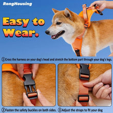 Lade das Bild in den Galerie-Viewer, Harness and Retractable Leash
