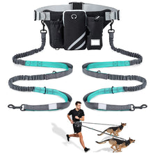 Lade das Bild in den Galerie-Viewer, Hands Free Jogging Leash Set
