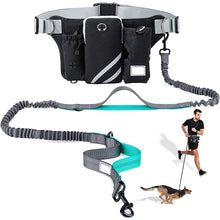 Lade das Bild in den Galerie-Viewer, Hands Free Jogging Leash Set
