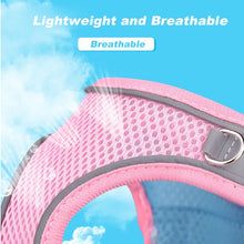 Lade das Bild in den Galerie-Viewer, SunSafe Reflective Harness
