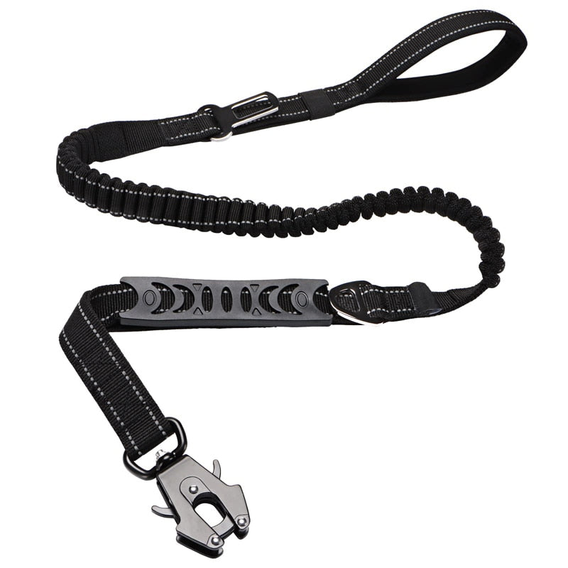 Shock Absorbing Leash