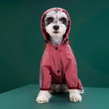 Lade das Bild in den Galerie-Viewer, Raincoat
