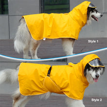 Lade das Bild in den Galerie-Viewer, Raincoat
