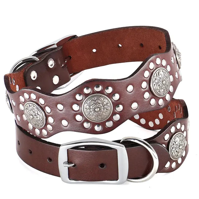 Luxury Dog Collar