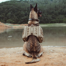 Lade das Bild in den Galerie-Viewer, Hiking Backpack for Dogs
