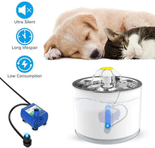 Lade das Bild in den Galerie-Viewer, Electric Pet Fountain
