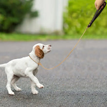 Lade das Bild in den Galerie-Viewer, Stainless Steel Leash
