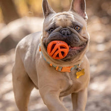 Lade das Bild in den Galerie-Viewer, Chuckit!® Air Fetch Ball
