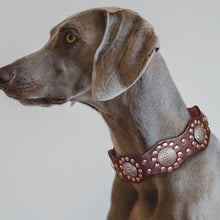 Lade das Bild in den Galerie-Viewer, Luxury Dog Collar
