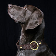 Lade das Bild in den Galerie-Viewer, Leather Braided Collar Set
